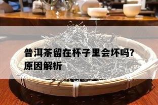 普洱茶留在杯子里会坏吗？起因解析