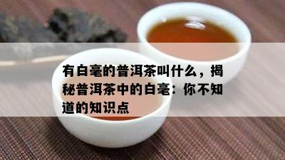 有白毫的普洱茶叫什么，揭秘普洱茶中的白毫：你不知道的知识点