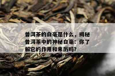 普洱茶的白毫是什么，揭秘普洱茶中的神秘白毫：你了解它的作用和来历吗？