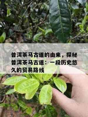 普洱茶马古道的由来，探秘普洱茶马古道：一段历史悠久的贸易路线