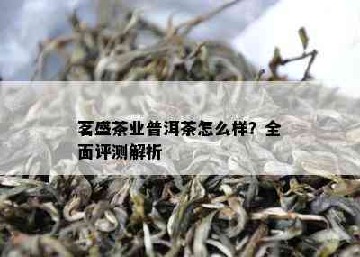 茗盛茶业普洱茶怎么样？全面评测解析