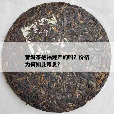 普洱茶是福建产的吗？价格为何如此昂贵？