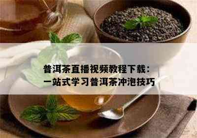 普洱茶直播视频教程下载：一站式学习普洱茶冲泡技巧