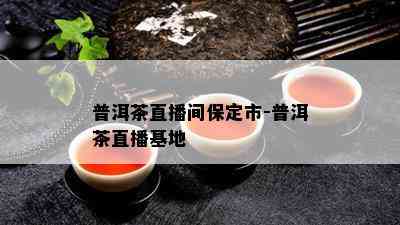 普洱茶直播间保定市-普洱茶直播基地