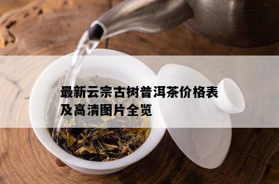 最新云宗古树普洱茶价格表及高清图片全览