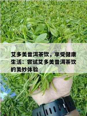 艾多美普洱茶饮，享受健康生活：尝试艾多美普洱茶饮的美妙体验