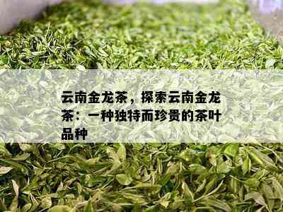 云南金龙茶，探索云南金龙茶：一种独特而珍贵的茶叶品种