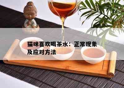 猫咪喜欢喝茶水：正常现象及应对方法