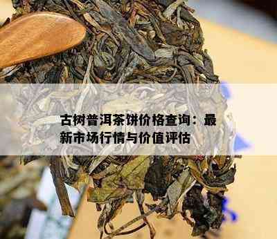 古树普洱茶饼价格查询：最新市场行情与价值评估