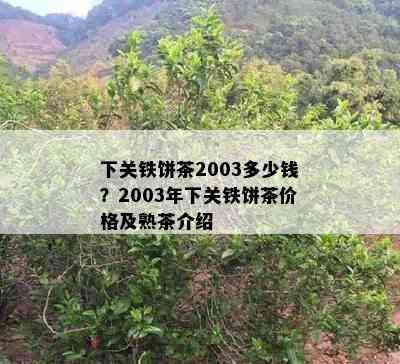 下关铁饼茶2003多少钱？2003年下关铁饼茶价格及熟茶介绍