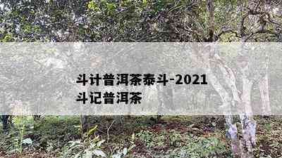 斗计普洱茶泰斗-2021斗记普洱茶