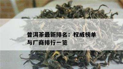 普洱茶最新排名：权威榜单与厂商排行一览