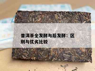 普洱茶全发酵与后发酵：区别与优劣比较