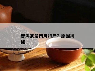 普洱茶是四川特产？原因揭秘