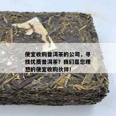 便宜收购普洱茶的公司，寻找优质普洱茶？我们是您理想的便宜收购伙伴！