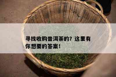 寻找收购普洱茶的？这里有你想要的答案！