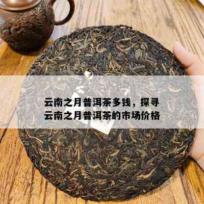 云南之月普洱茶多钱，探寻云南之月普洱茶的市场价格