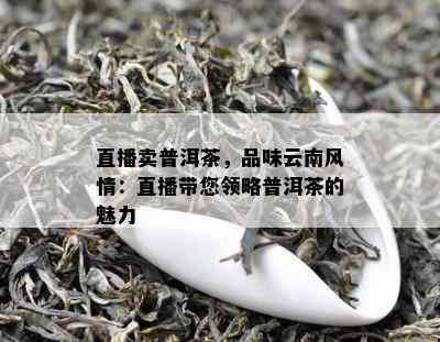 直播卖普洱茶，品味云南风情：直播带您领略普洱茶的魅力