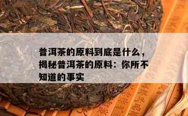 普洱茶的原料到底是什么，揭秘普洱茶的原料：你所不知道的事实