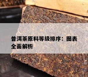 普洱茶原料等级排序：图表全面解析