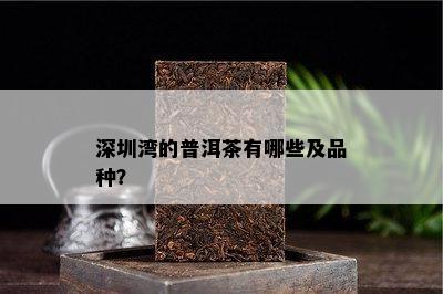 深圳湾的普洱茶有哪些及品种？