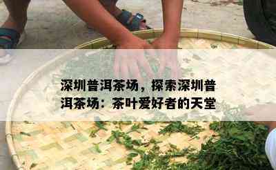 深圳普洱茶场，探索深圳普洱茶场：茶叶爱好者的天堂