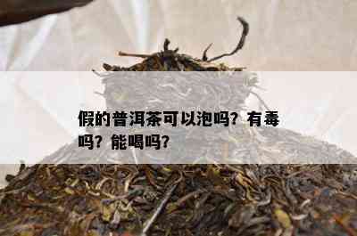 假的普洱茶可以泡吗？有吗？能喝吗？