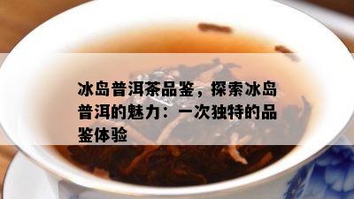 冰岛普洱茶品鉴，探索冰岛普洱的魅力：一次独特的品鉴体验