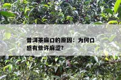 普洱茶麻口的原因：为何口感有些许麻涩？