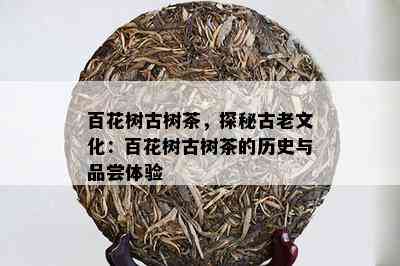 百花树古树茶，探秘古老文化：百花树古树茶的历史与品尝体验