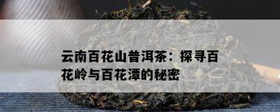 云南百花山普洱茶：探寻百花岭与百花潭的秘密