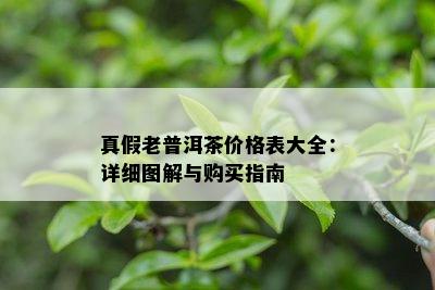 真假老普洱茶价格表大全：详细图解与购买指南