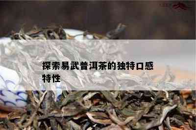 探索易武普洱茶的特别口感特性