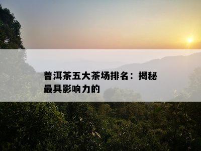 普洱茶五大茶场排名：揭秘更具作用力的