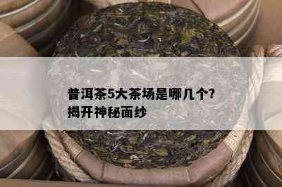 普洱茶5大茶场是哪几个？揭开神秘面纱