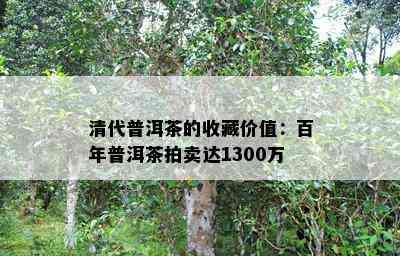 清代普洱茶的收藏价值：百年普洱茶拍卖达1300万