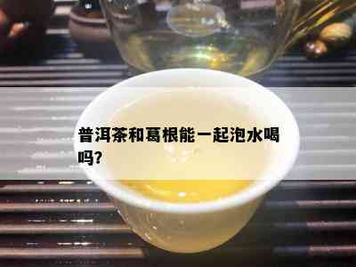 普洱茶和葛根能一起泡水喝吗？