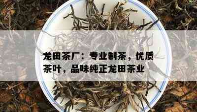 龙田茶厂：专业制茶，优质茶叶，品味纯正龙田茶业