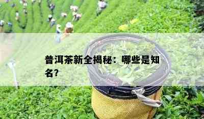 普洱茶新全揭秘：哪些是知名？