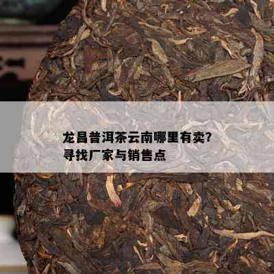 龙昌普洱茶云南哪里有卖？寻找厂家与销售点