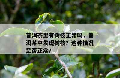 普洱茶里有树枝正常吗，普洱茶中发现树枝？这类情况是不是正常？