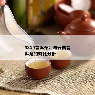 5815普洱茶：与云南普洱茶的对比分析