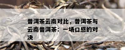 普洱茶云南对比，普洱茶与云南普洱茶：一场口感的对决