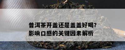 普洱茶开盖还是盖盖好喝？作用口感的关键因素解析