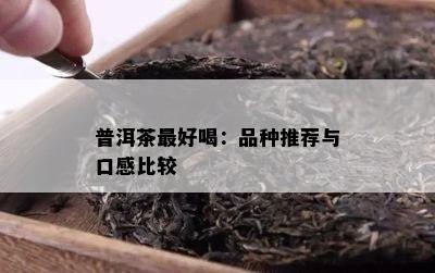 普洱茶更好喝：品种推荐与口感比较