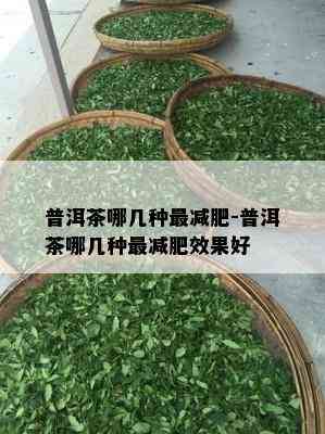 普洱茶哪几种最减肥-普洱茶哪几种最减肥效果好