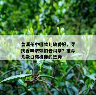 普洱茶中哪款比较香好，寻找香味浓郁的普洱茶？推荐几款口感极佳的选择！