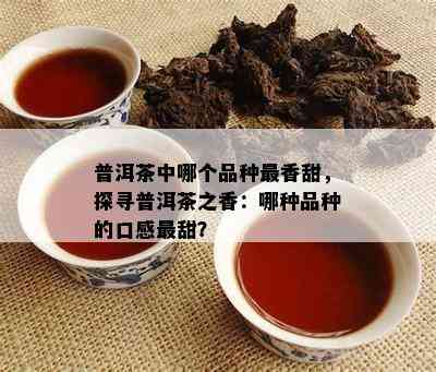 普洱茶中哪个品种最香甜，探寻普洱茶之香：哪种品种的口感最甜？