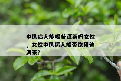 中风病人能喝普洱茶吗女性，女性中风病人能否饮用普洱茶？