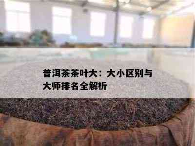 普洱茶茶叶大：大小区别与大师排名全解析